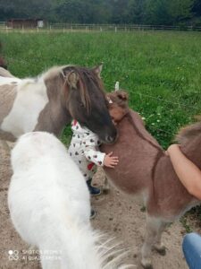 Anniversaires enfants - Tiny Ranch Etupes (25)