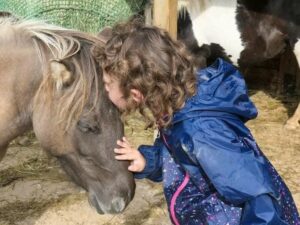 visites-au-ranch1