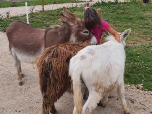 visites-au-ranch2