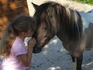 visites-au-ranch3