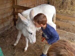 visites-au-ranch5