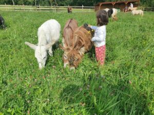 visites-au-ranch6