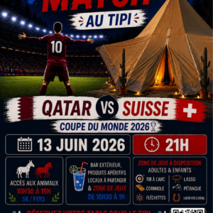 Diffusion match Pays-Bas/Suède & Allemagne/Côte d'Ivoire - 20 Juin 2026